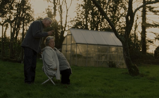 Pareja, cuya esposa tiene SST, disfruta de una tarde en el campo